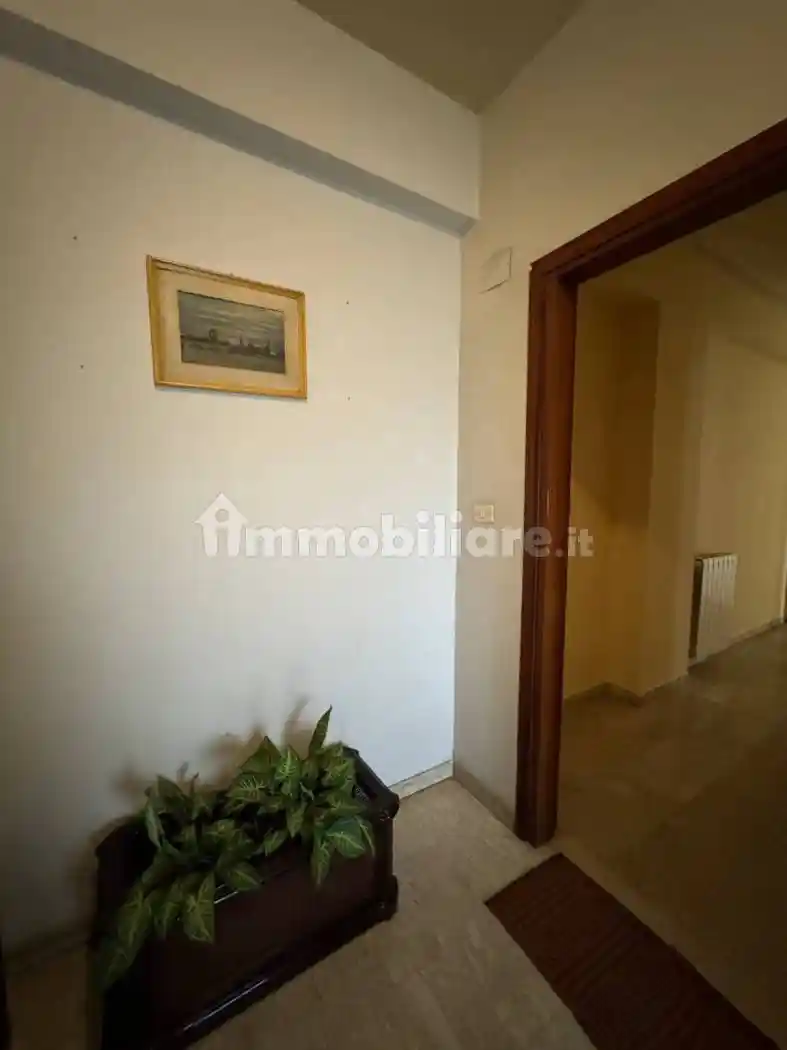 Appartamento in affitto a Catania