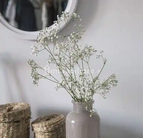 Appartamento in vendita a Viareggio