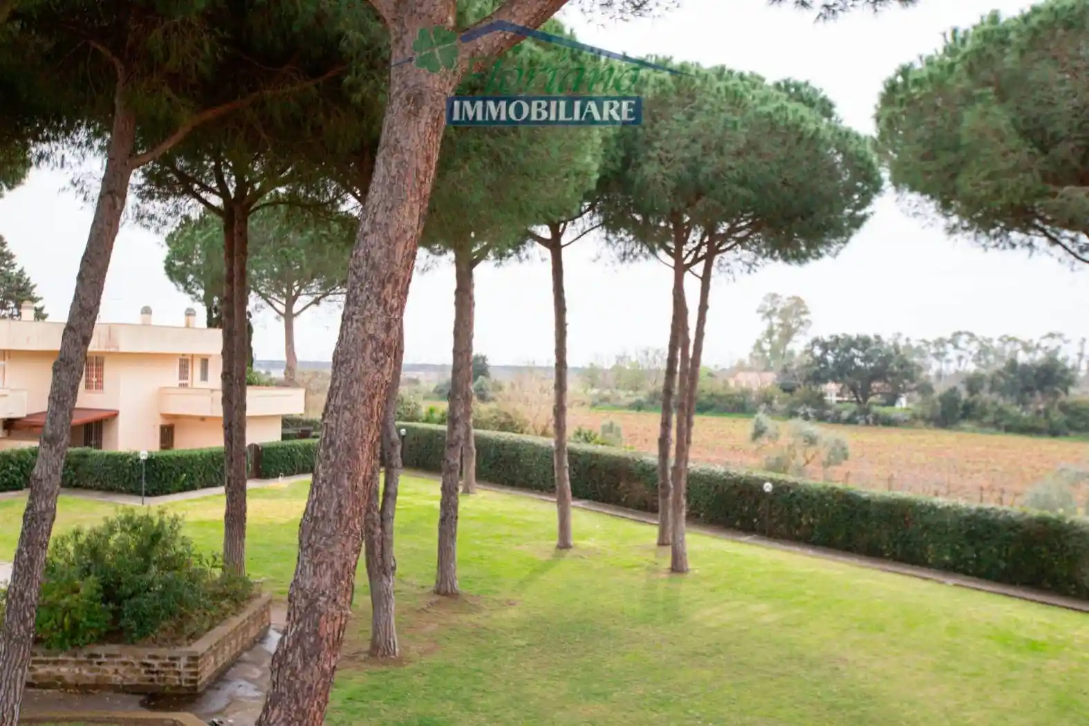 Appartamento in vendita a Capalbio