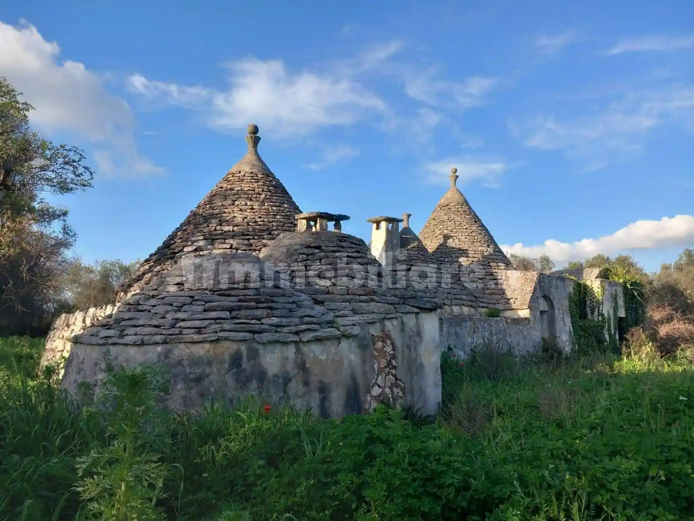 Rustico - Casale in vendita a Ceglie Messapica
