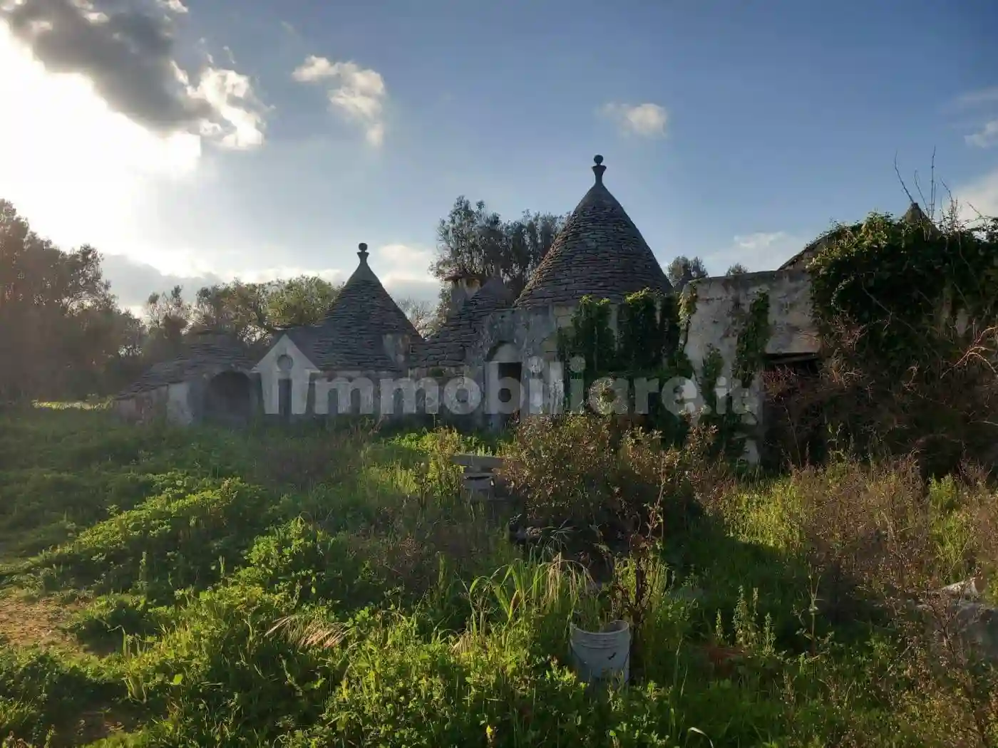 Rustico - Casale - foto 3