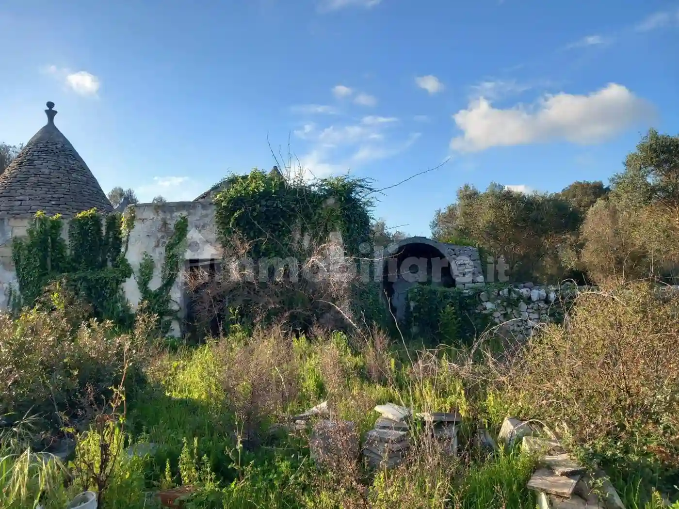 Rustico - Casale - foto 4