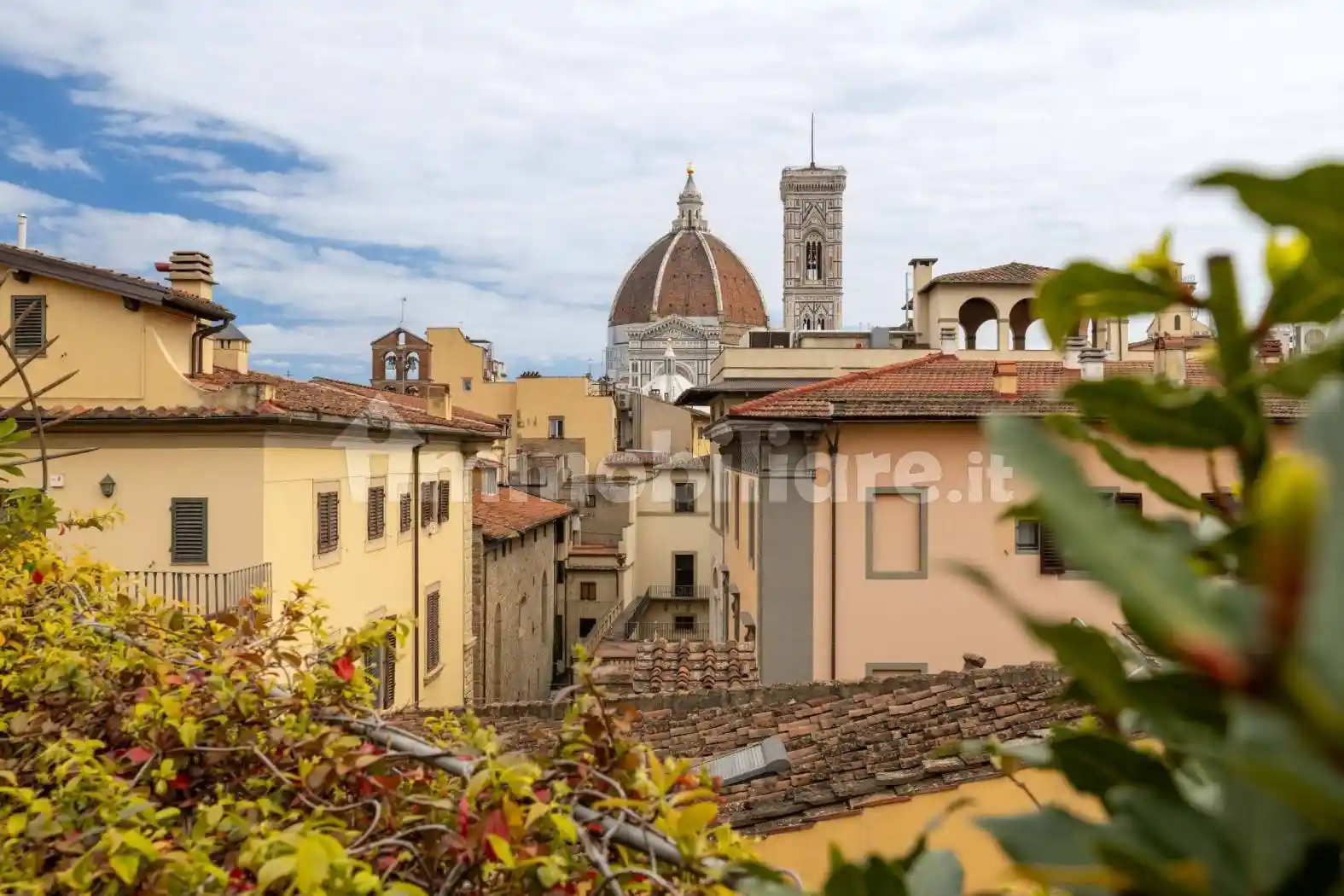 Appartamento in affitto a Firenze