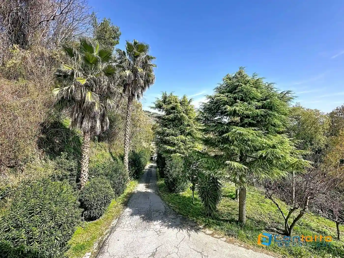 Palazzo - Edificio - foto 3