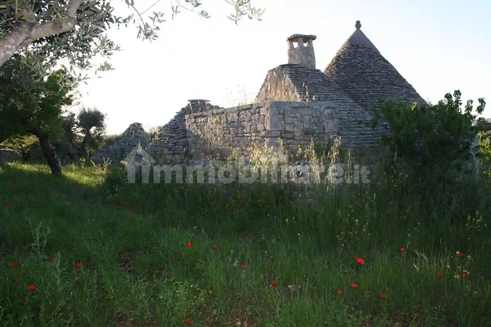 Rustico - Casale - foto 2