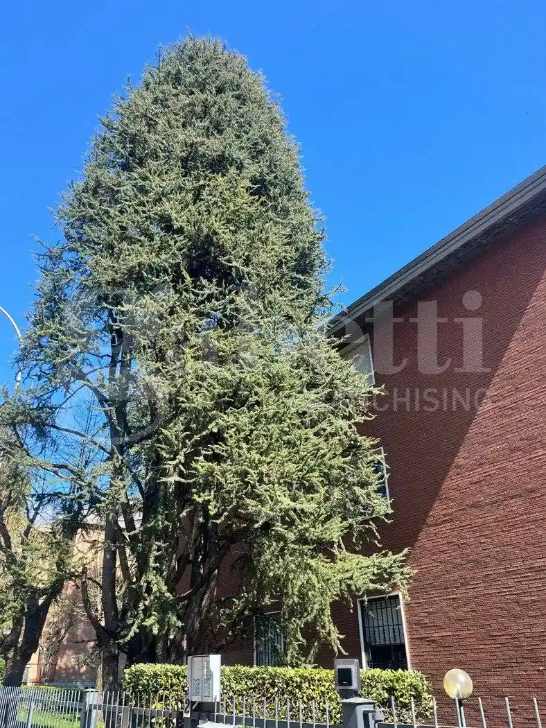 Appartamento in vendita a Sasso Marconi