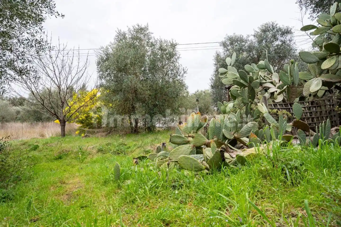 Casa indipendente in vendita a Vinci