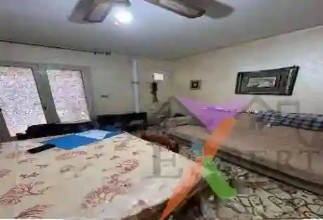 Palazzo - Stabile - foto 5