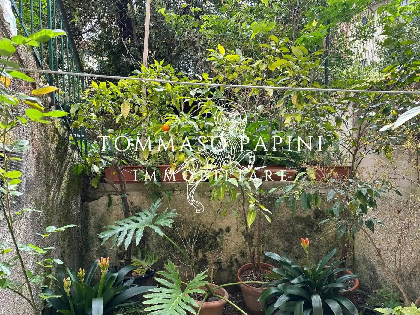 Appartamento in vendita a Firenze