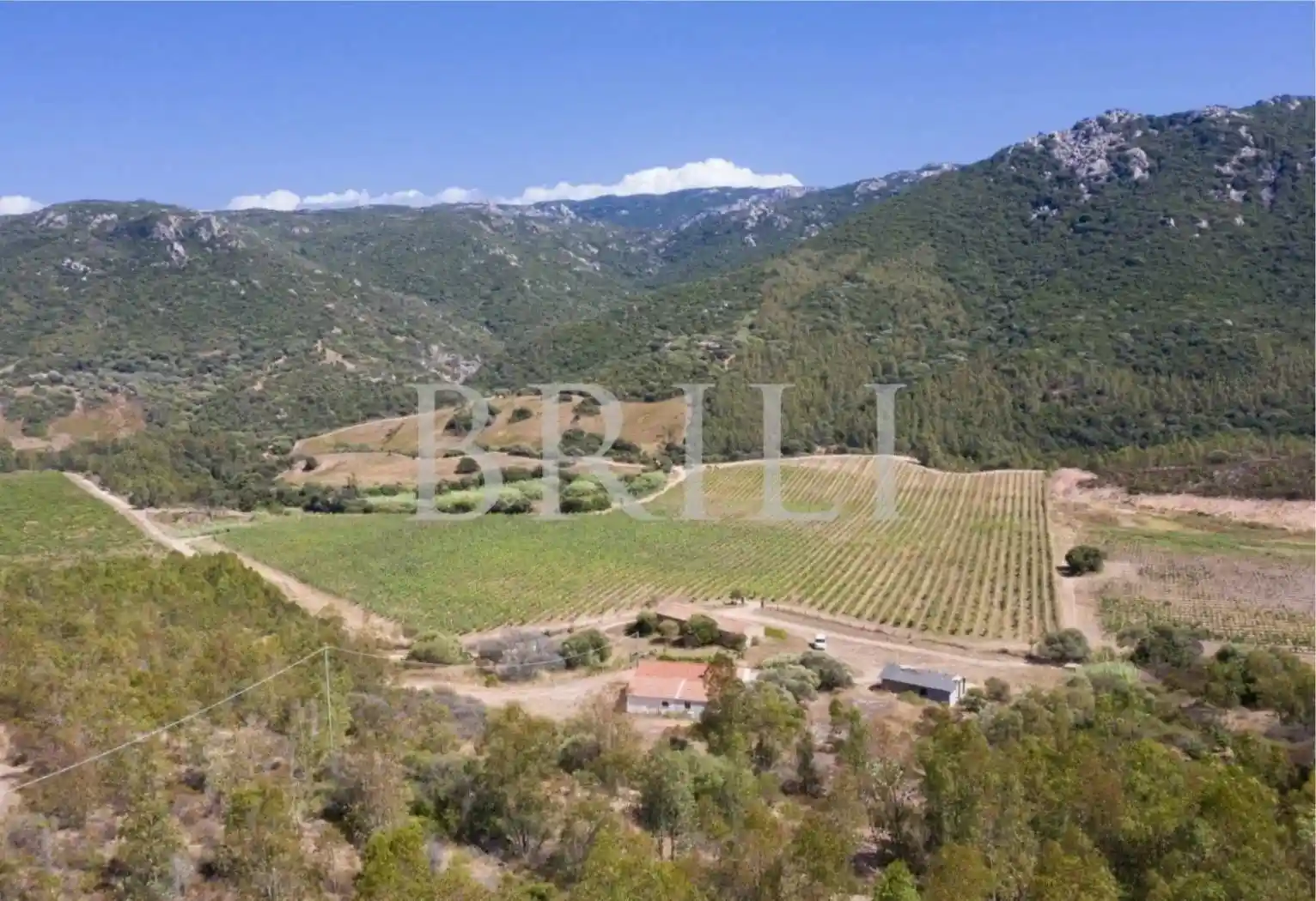 Villa in vendita a Trinità d'Agultu e Vignola