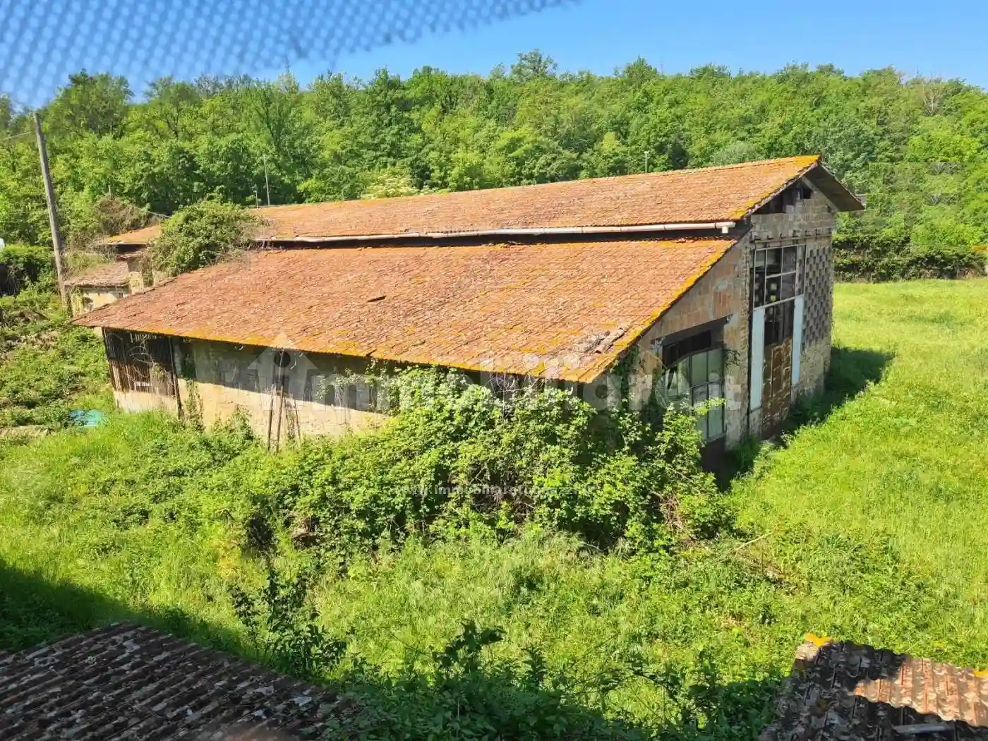 Palazzo - Edificio - foto 4