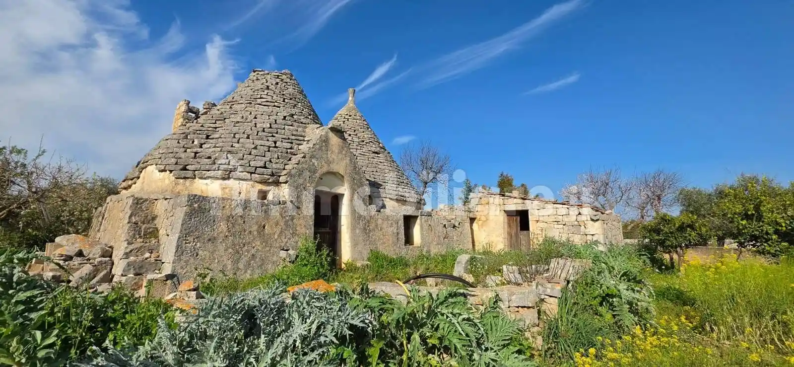 Rustico - Casale in vendita a Putignano