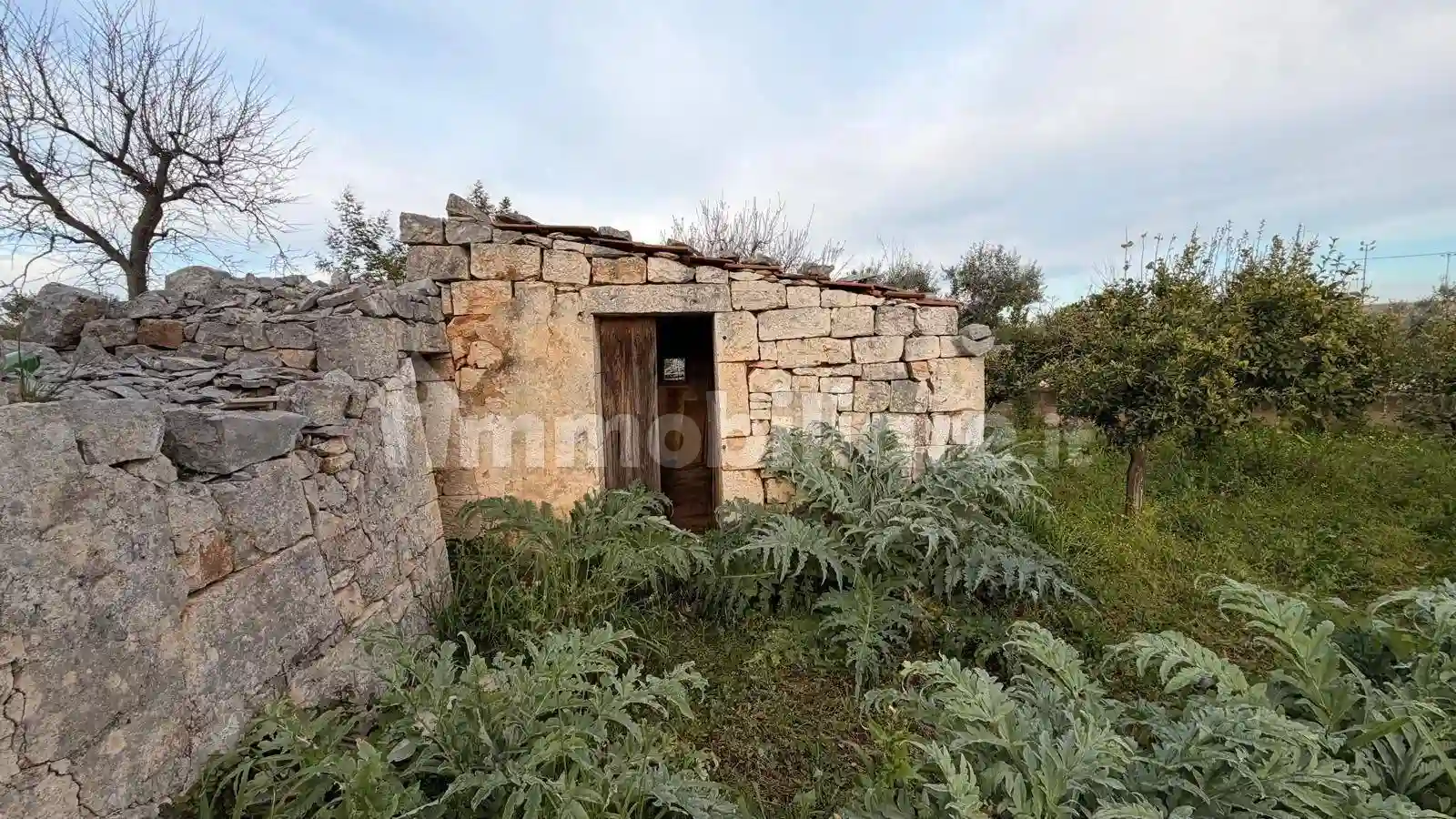 Rustico - Casale - foto 5