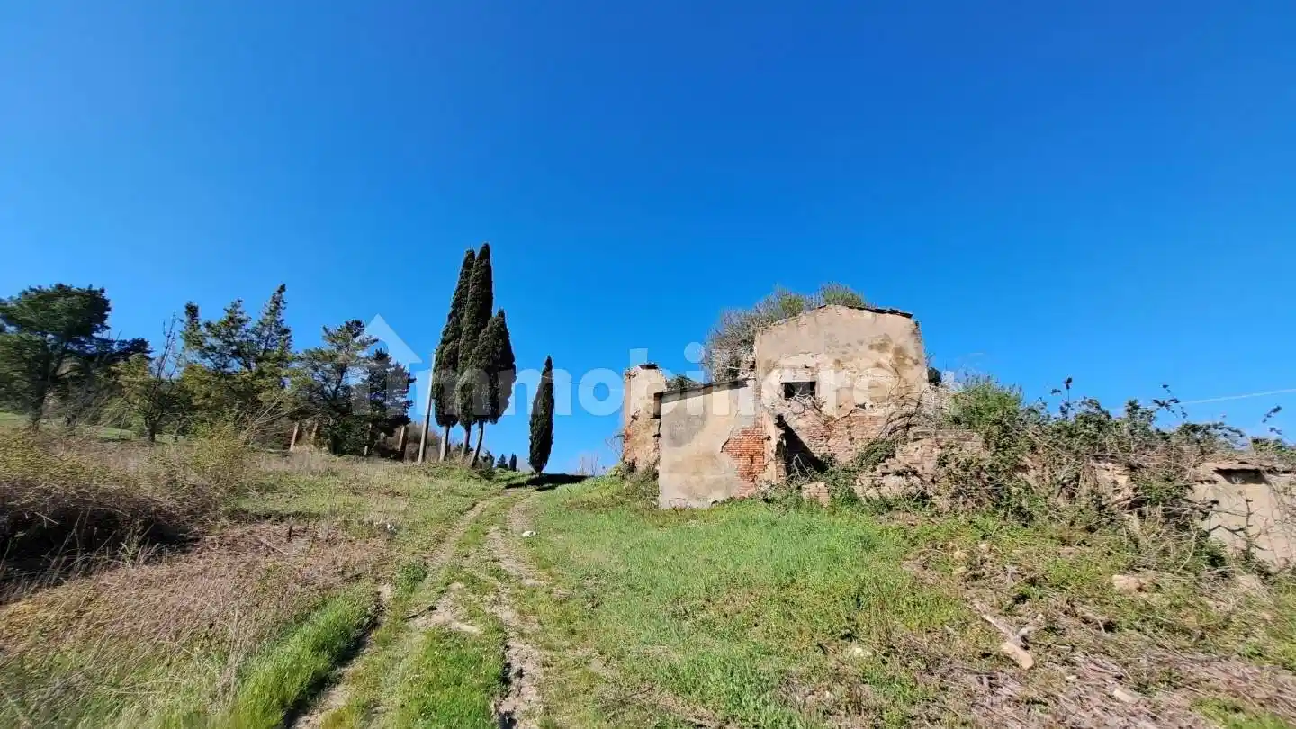 Rustico - Casale in vendita a Peccioli