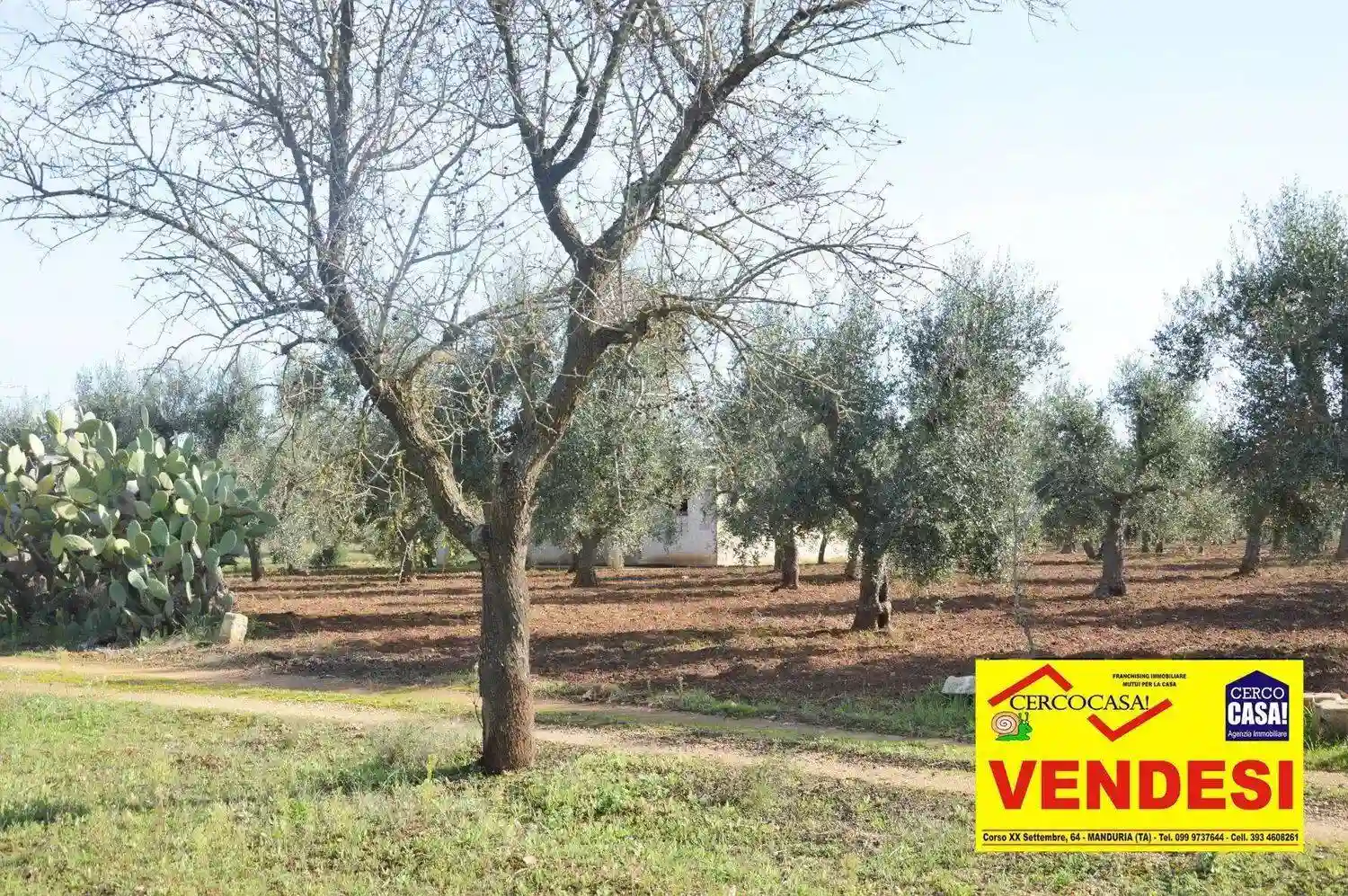 Rustico - Casale - foto 3