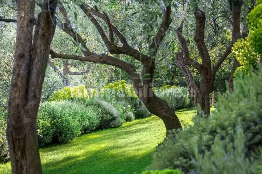 Villa in vendita a Sarzana