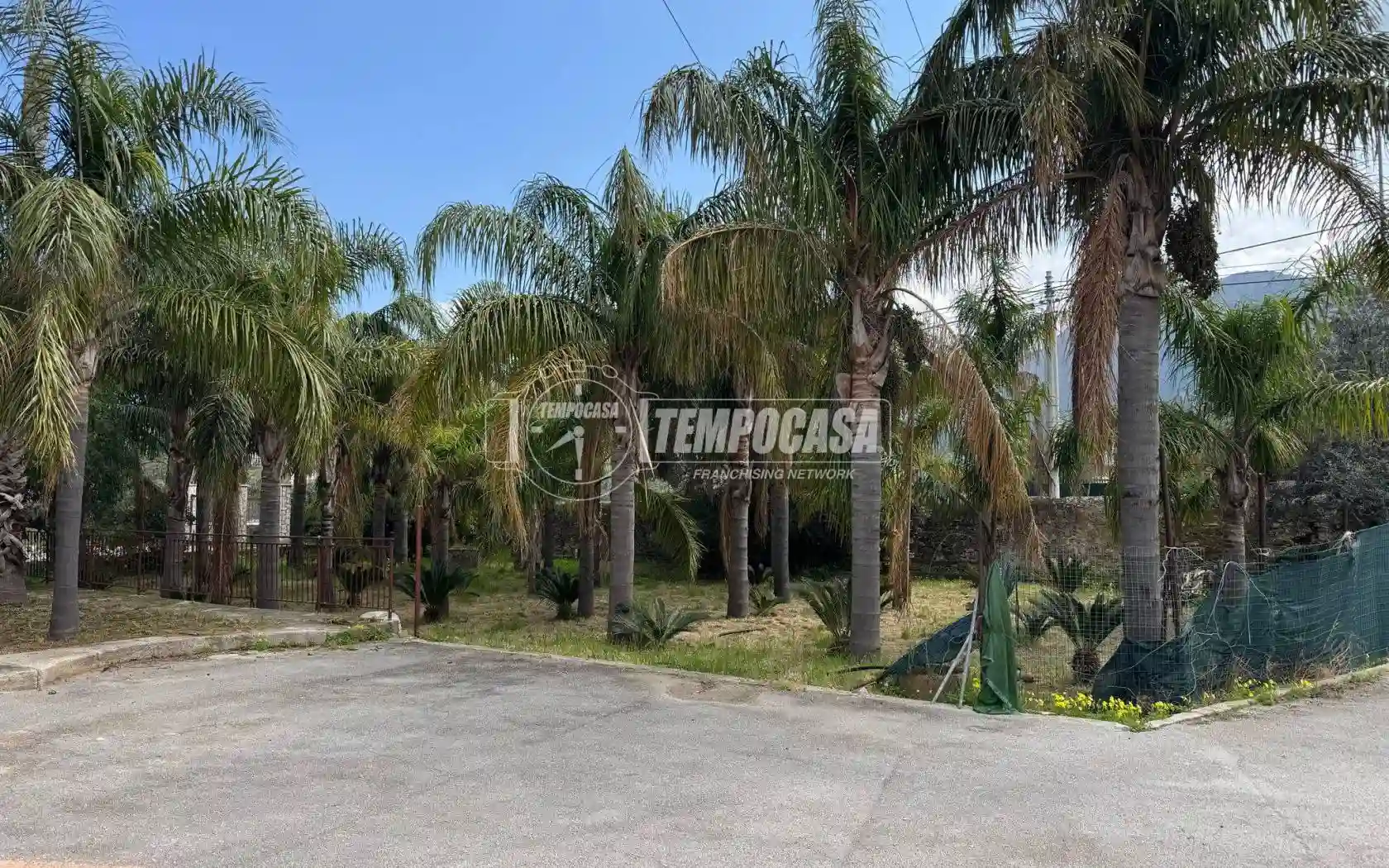 Palazzo - Edificio - foto 5