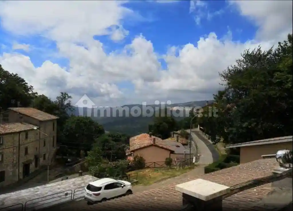 Appartamento in vendita a Santa Fiora