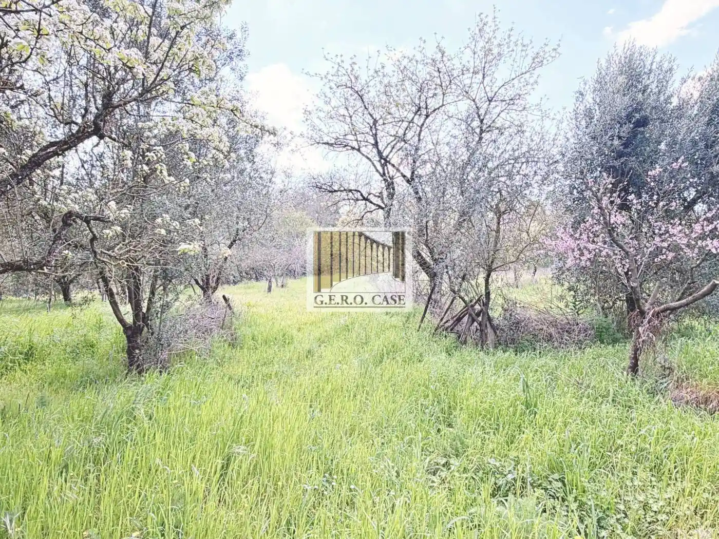 Villa in vendita a Orvieto