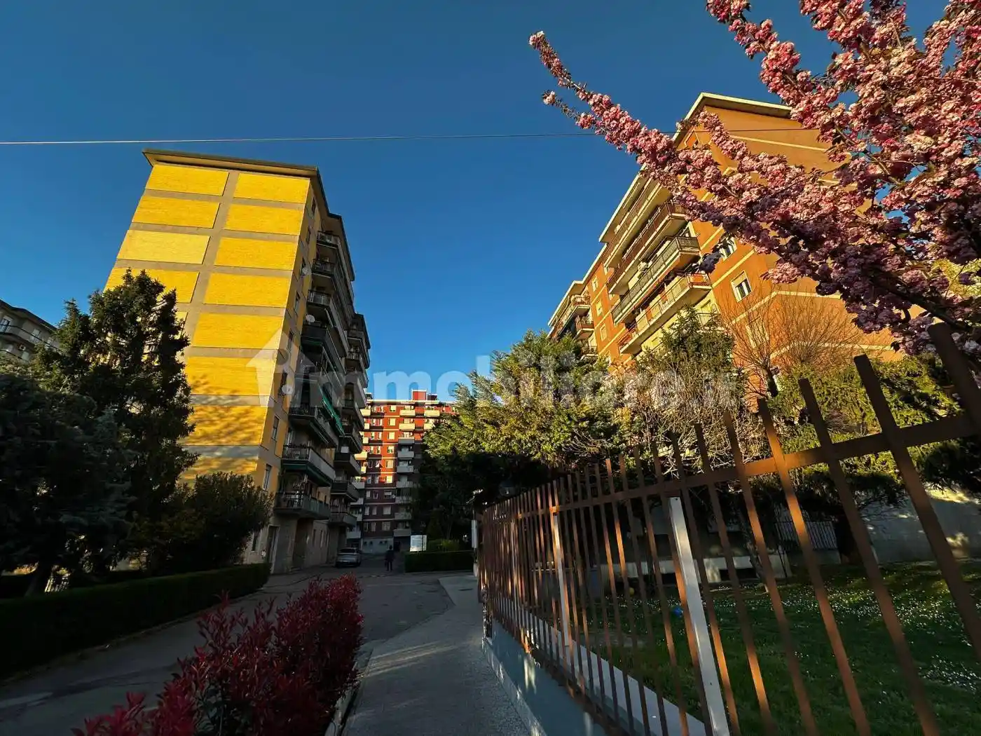 Appartamento in affitto a Segrate