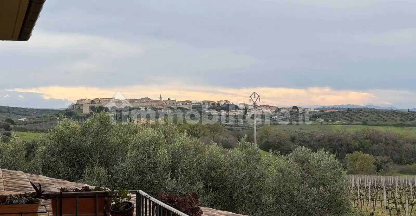 Rustico - Casale in vendita a Magliano in Toscana