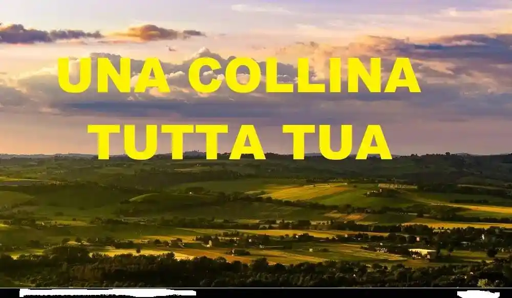 Rustico - Casale in vendita a Sona