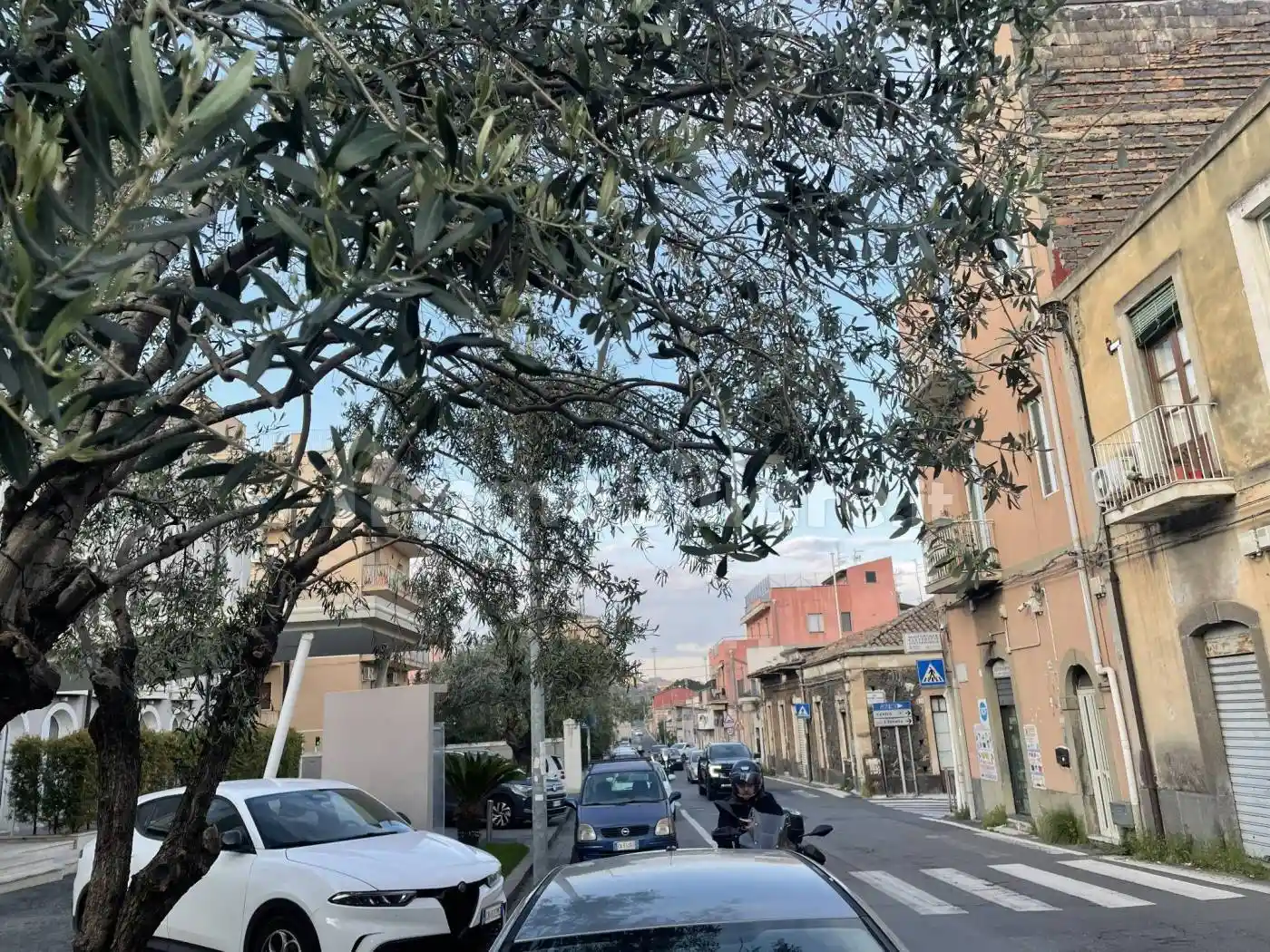 Casa indipendente in vendita a Catania