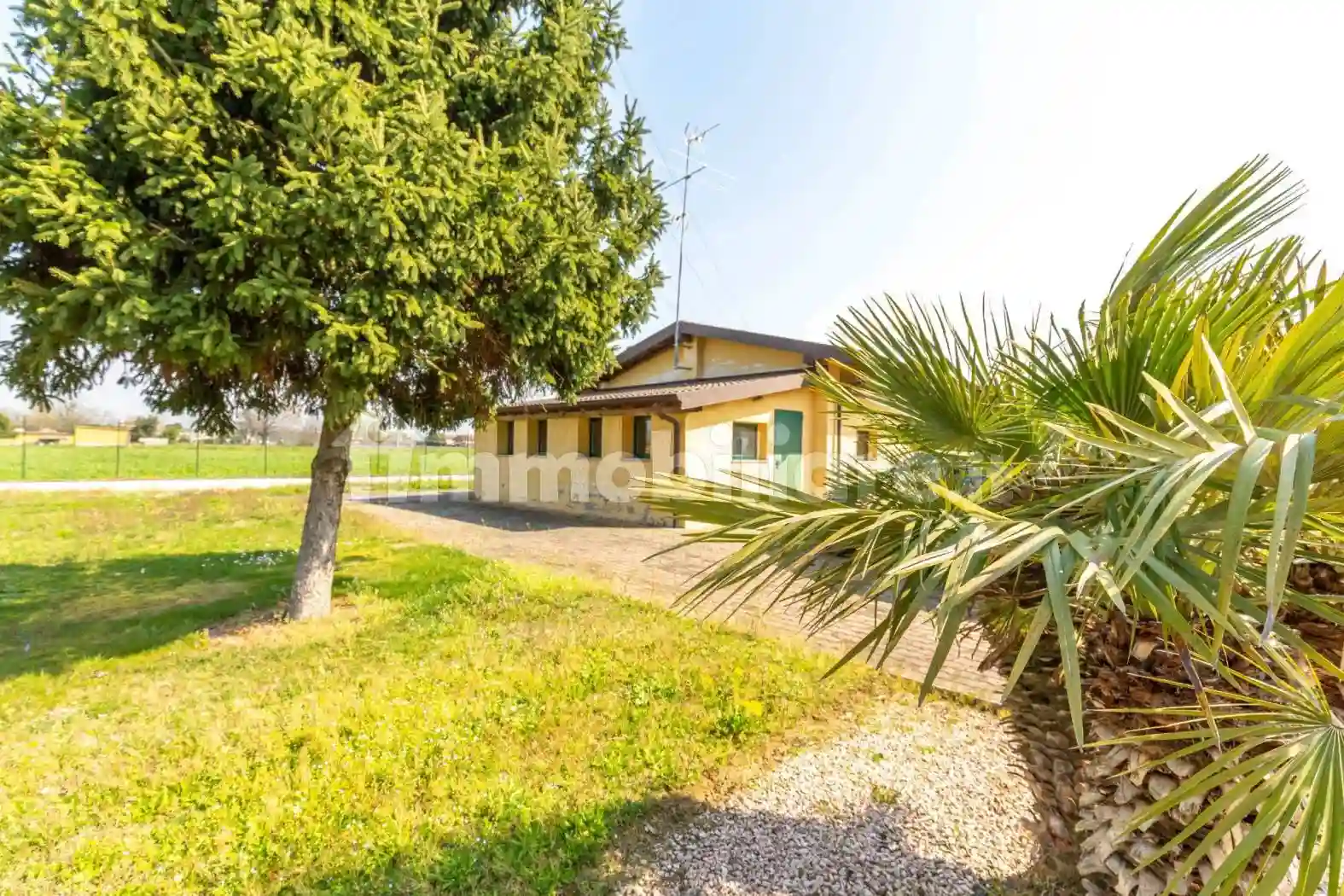 Palazzo - Edificio - foto 3