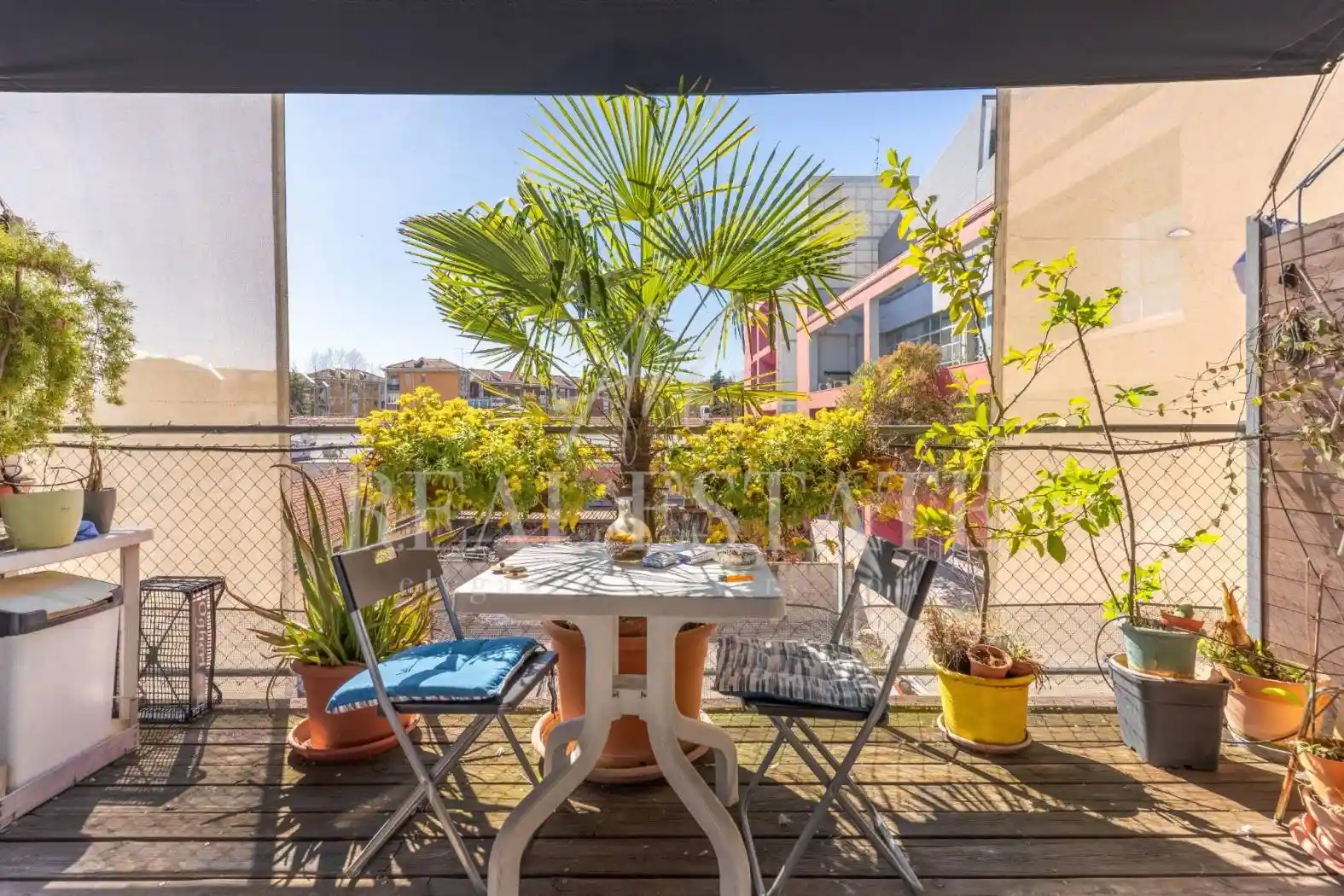 Loft in affitto a Milano