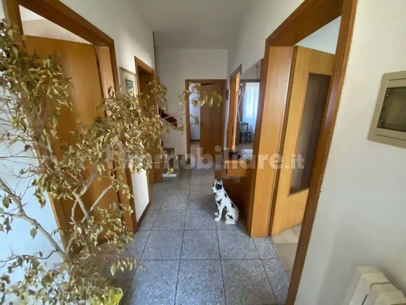 Villetta a schiera - foto 5