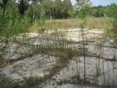 Appartamento in vendita a Limbiate