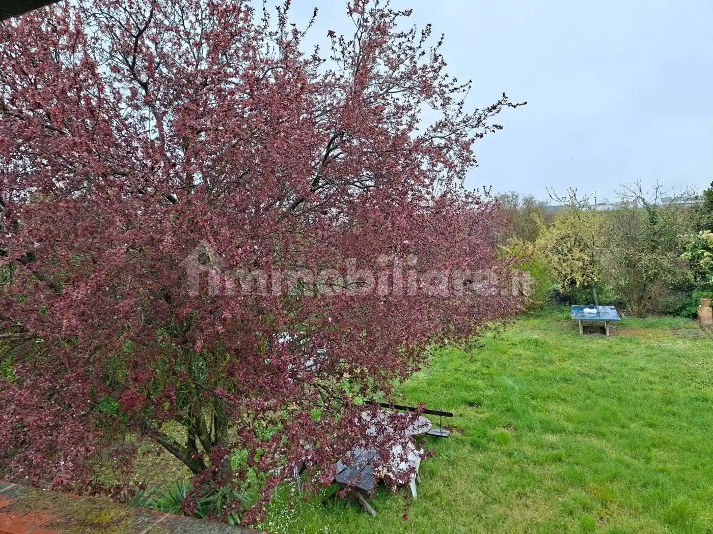 Casa indipendente in vendita a Arezzo