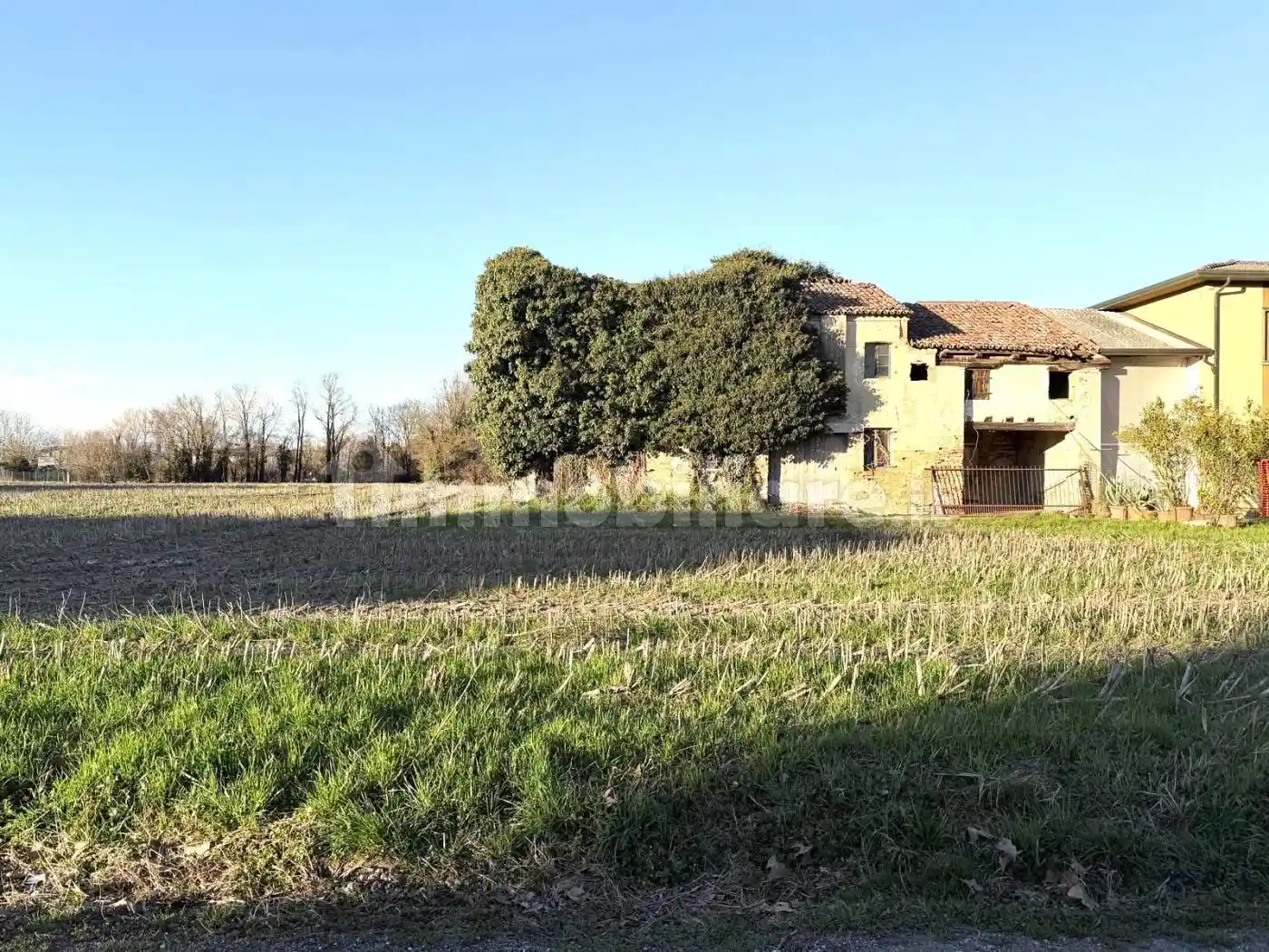 Rustico - Casale in vendita a Fiesso d'Artico