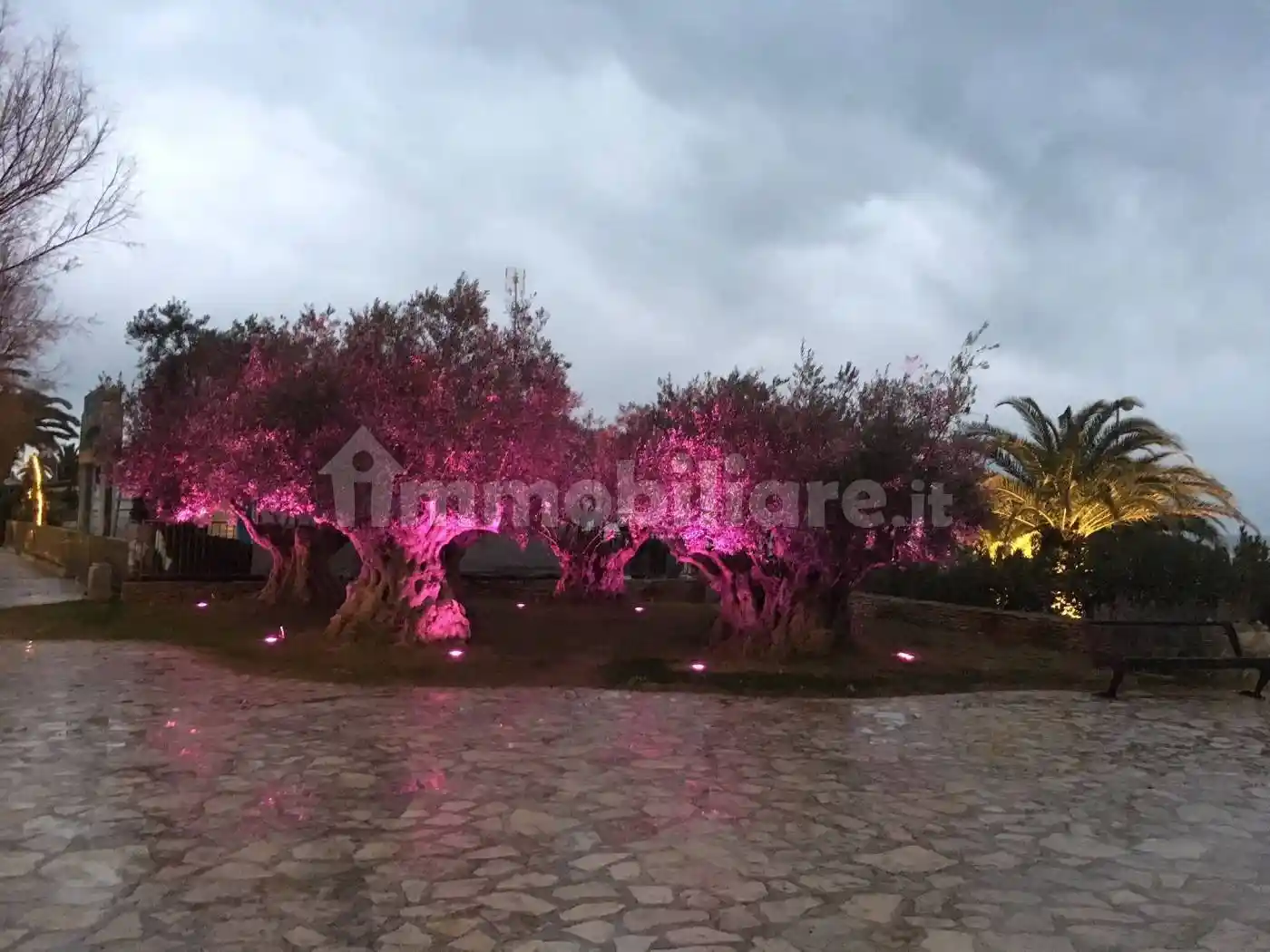 Appartamento in affitto a San Benedetto del Tronto