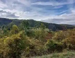 Appartamento in vendita a Ottone