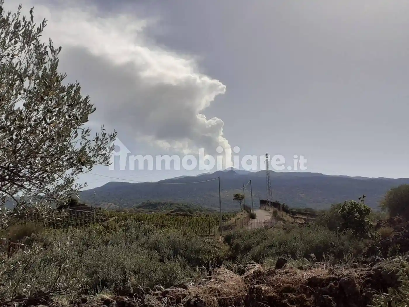 Rustico - Casale in vendita a Castiglione di Sicilia