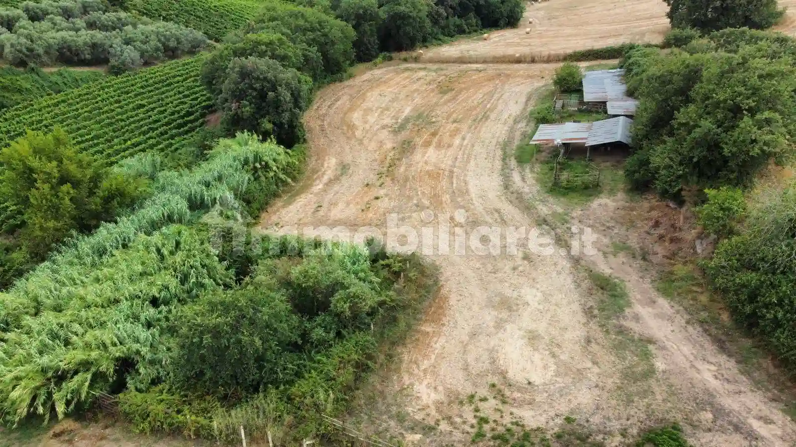 Rustico - Casale - foto 5