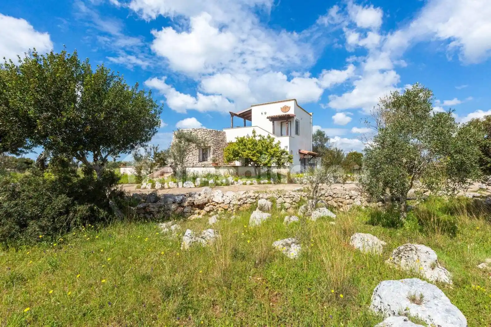 Villa in vendita a Salve