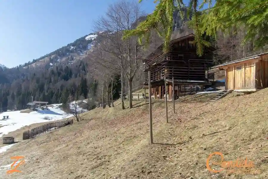 Rustico - Casale - foto 3