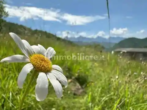 Rustico - Casale in vendita a Fivizzano