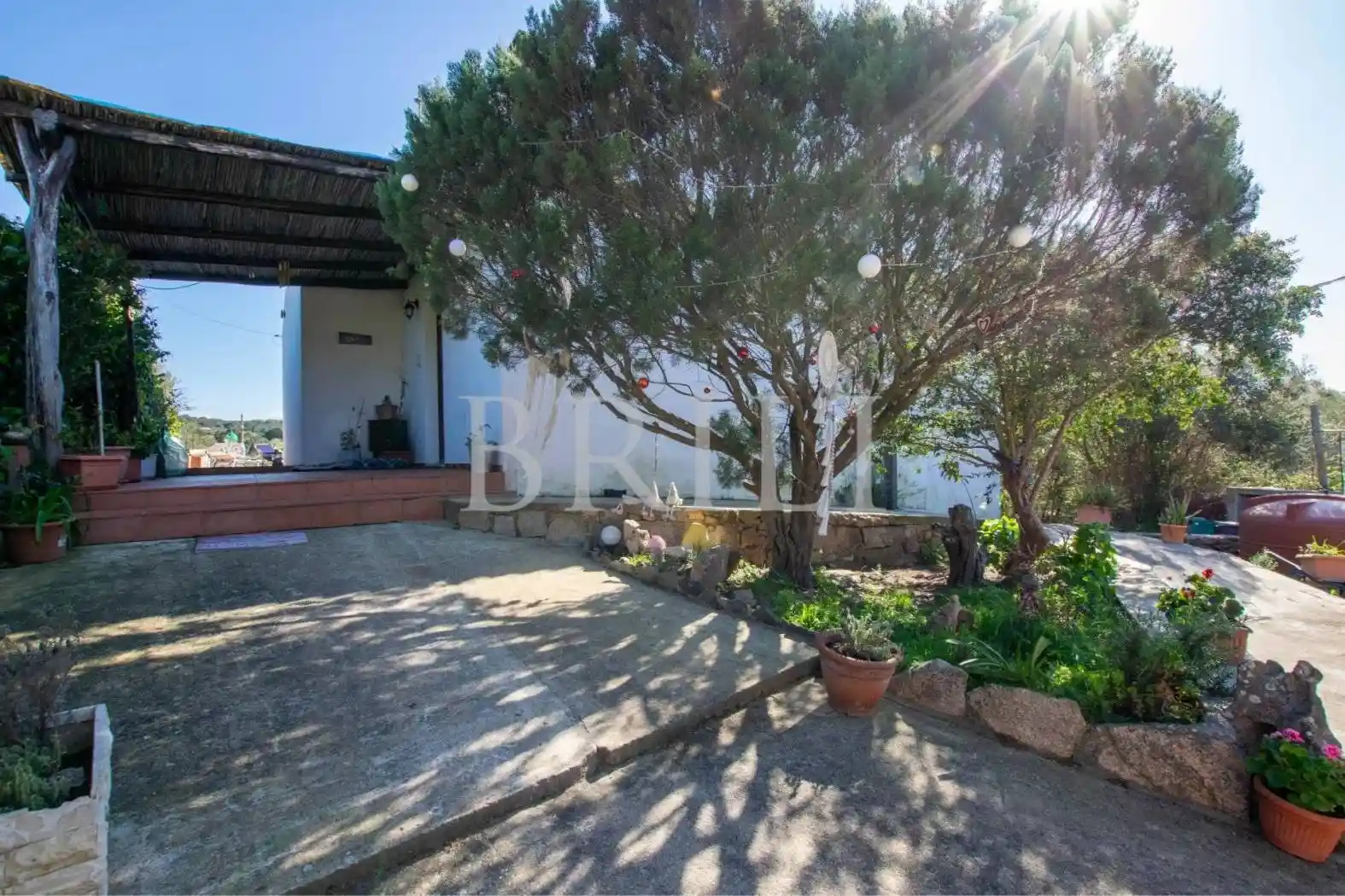 Rustico - Casale in vendita a Arzachena