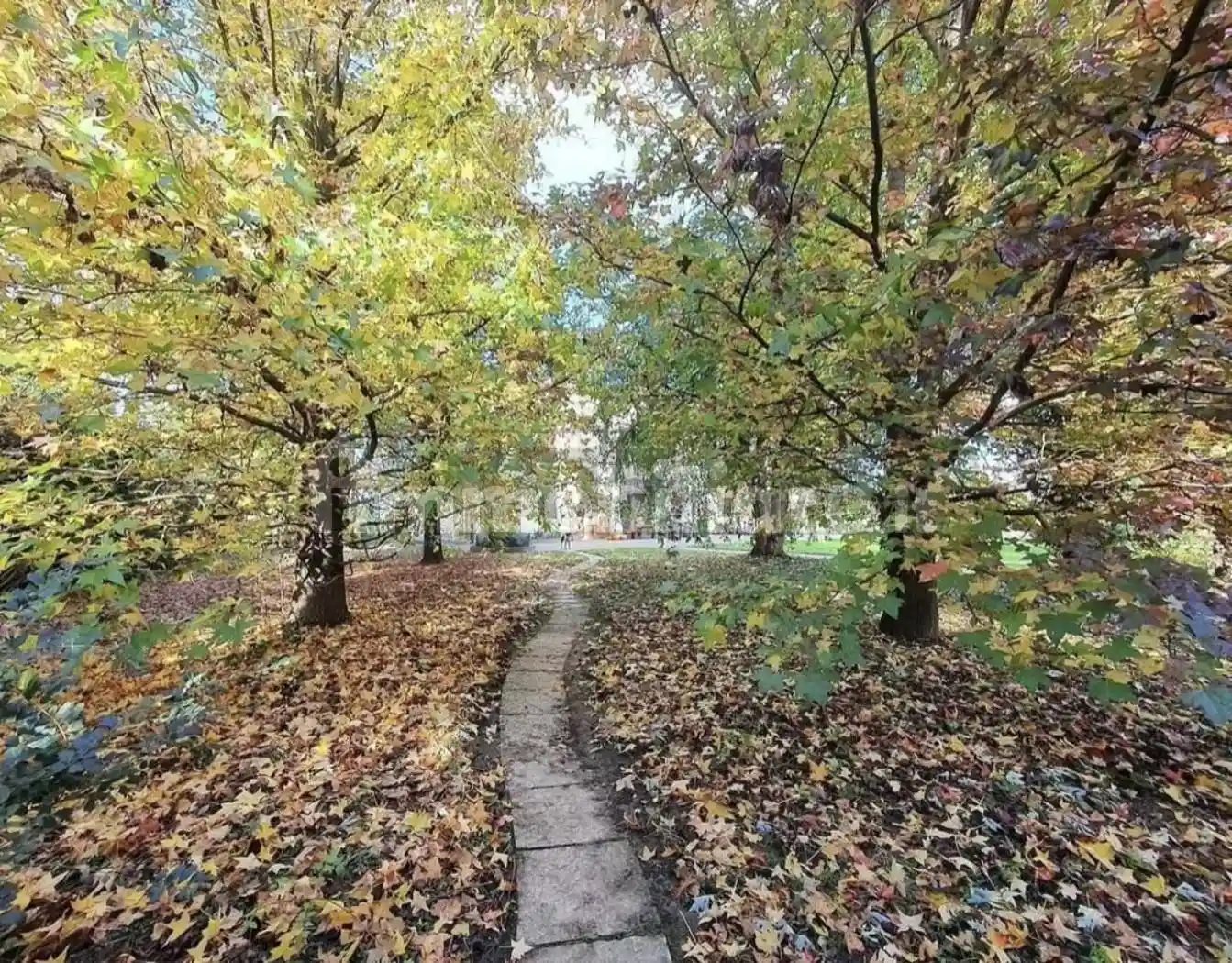 Rustico - Casale in vendita a Camisano Vicentino