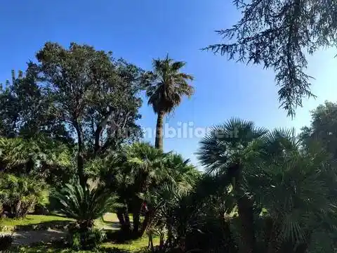 Appartamento in affitto a Savona