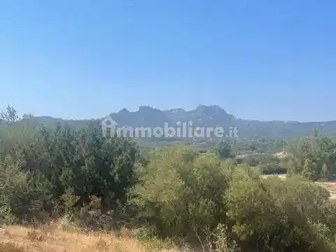 Appartamento in vendita a Arzachena