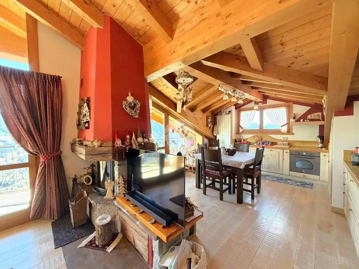 Appartamento in affitto a Vione