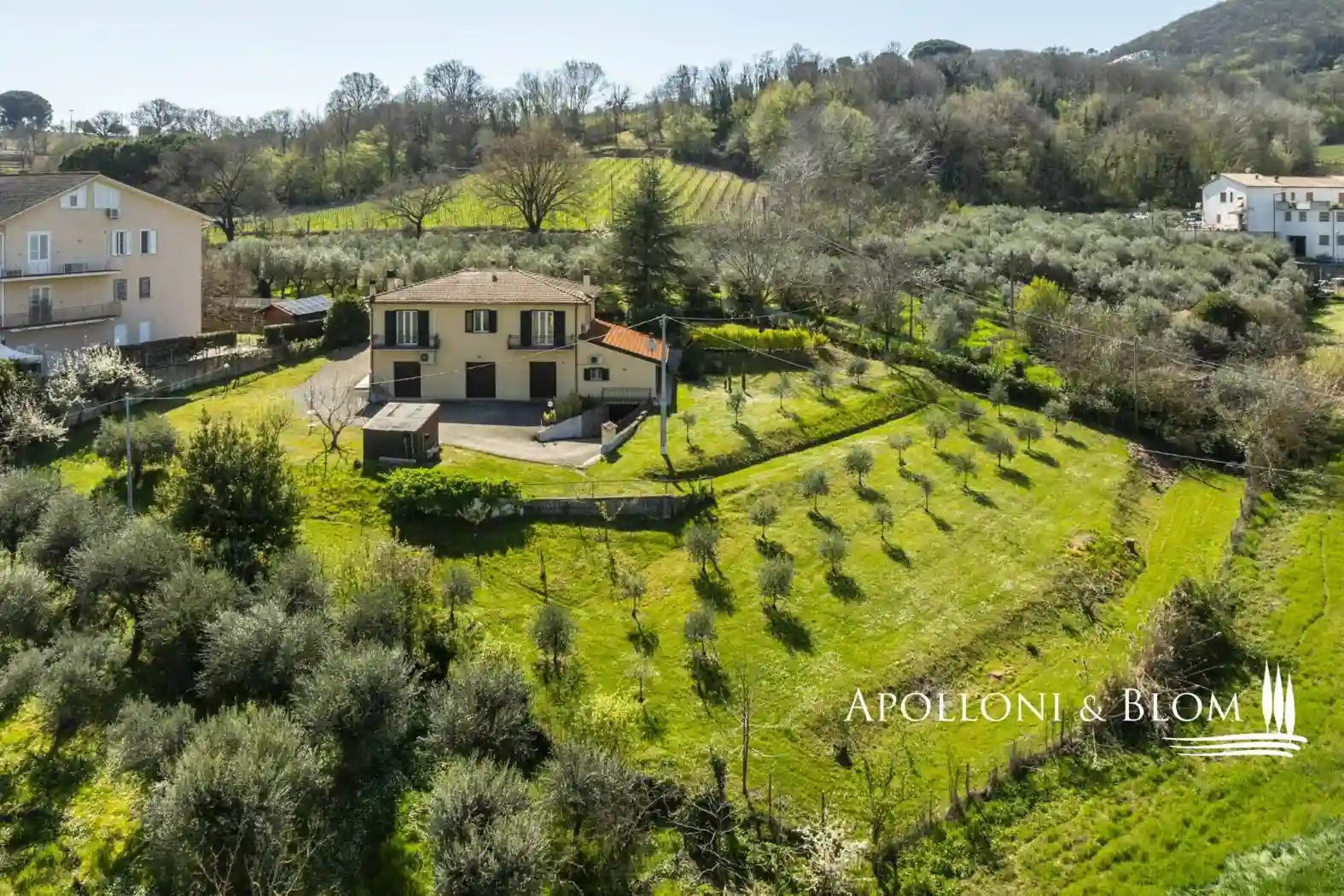 Villa - foto 3
