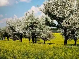 Rustico - Casale in vendita a Reggio Emilia