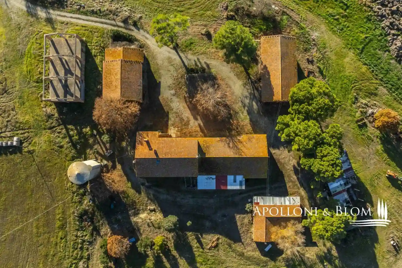 Rustico - Casale - foto 4