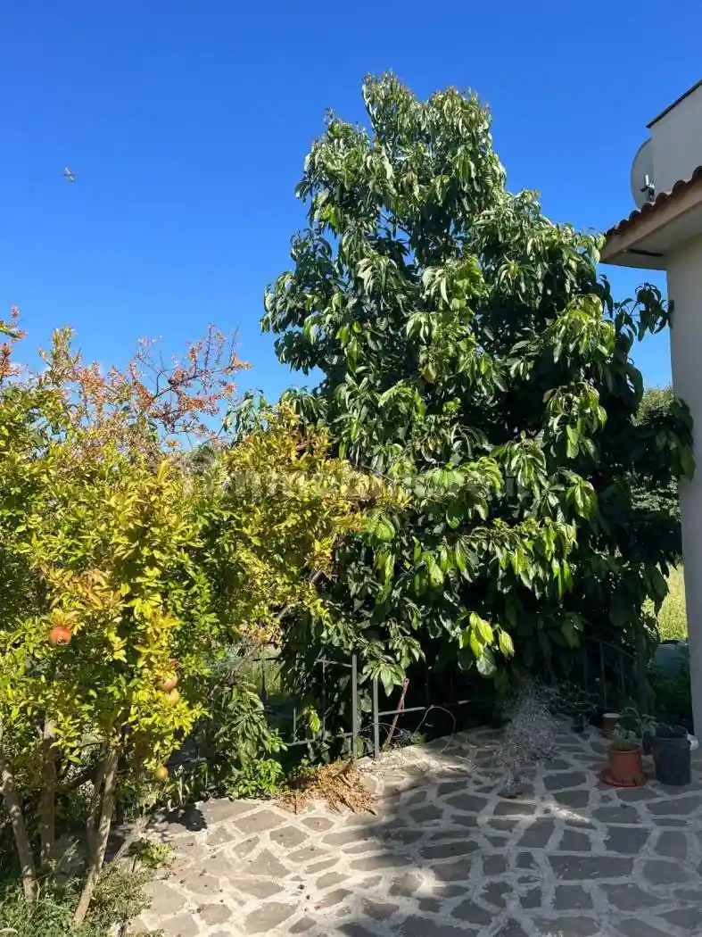 Appartamento in affitto a Napoli