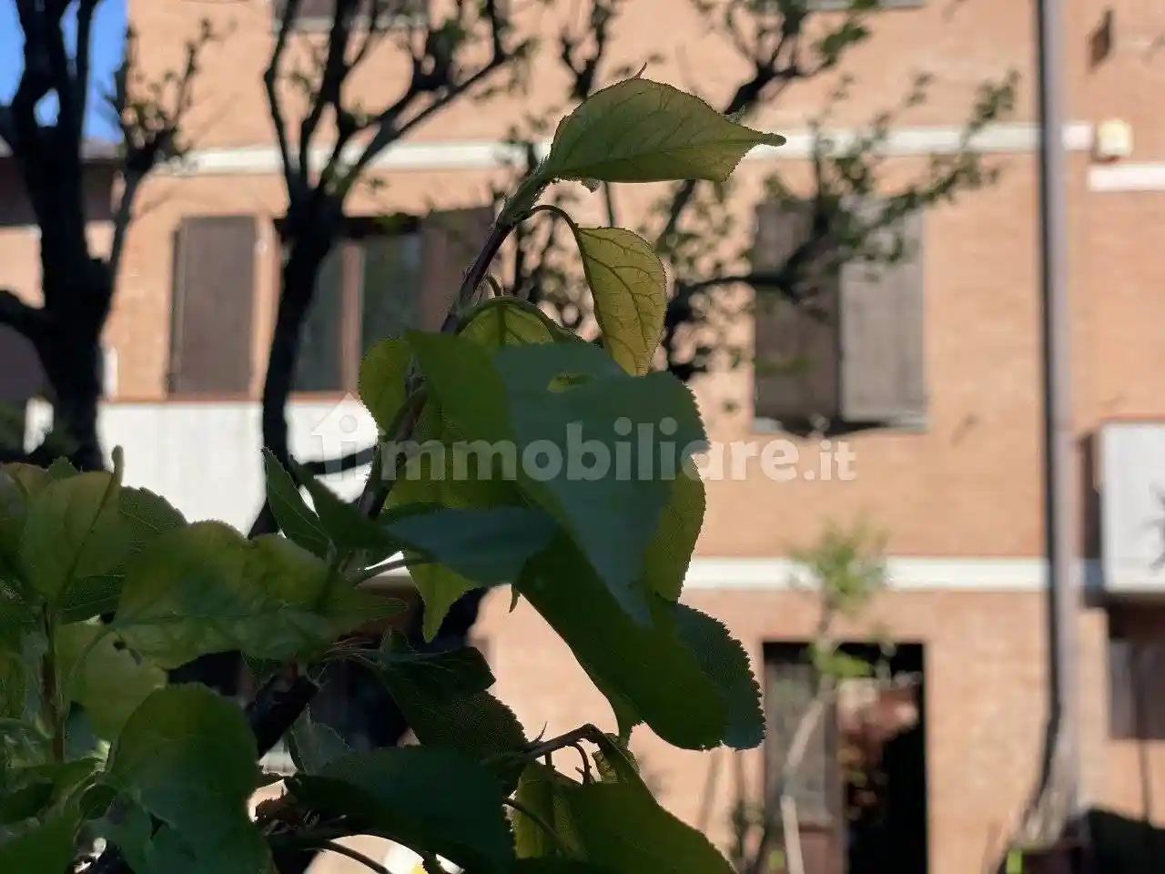 Villetta a schiera in vendita a Castelvetro di Modena